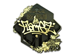 FlameZ (Gold) | Rio 2022