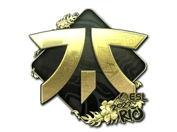 Fnatic (Gold) | Rio 2022