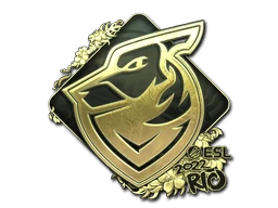 Grayhound Gaming (Gold) | Rio 2022