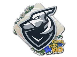 Grayhound Gaming | Rio 2022