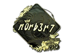 n0rb3r7 (Gold) | Rio 2022