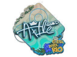 Ax1Le | Rio 2022