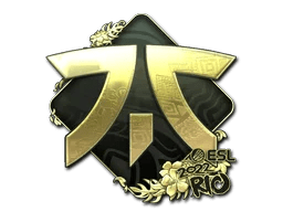 Fnatic (Gold) | Rio 2022