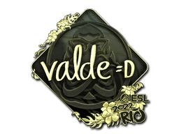 v4lde (Gold) | Rio 2022