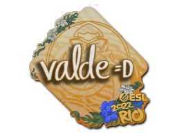 v4lde | Rio 2022