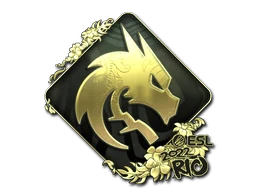 Team Spirit (Gold) | Rio 2022