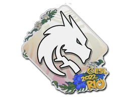 Team Spirit | Rio 2022