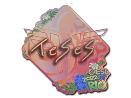 TeSeS (Holo) | Rio 2022