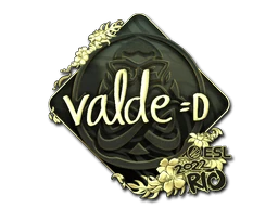 v4lde (Gold) | Rio 2022