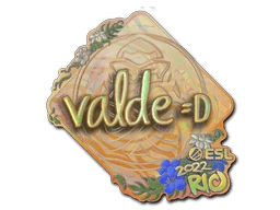 v4lde (Holo) | Rio 2022