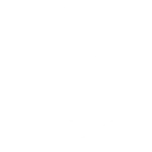 PGL Copenhagen 2024