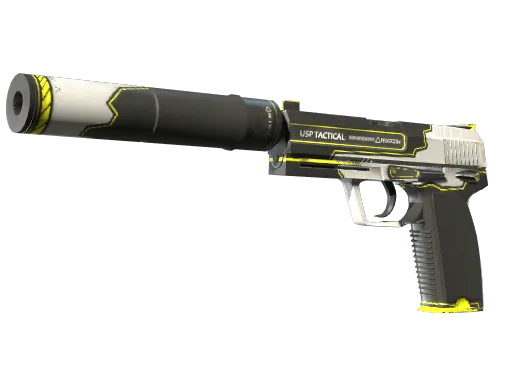 USP-S | Torque